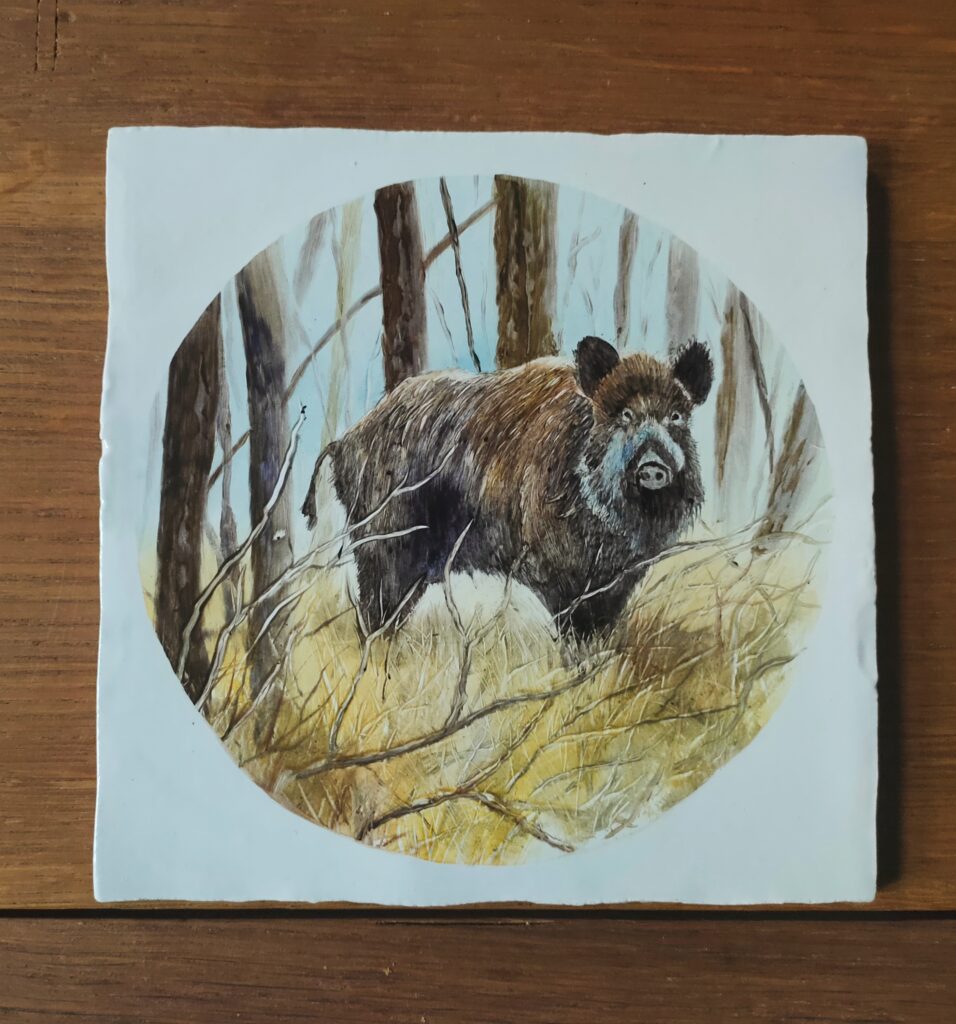 Zwijn in een bos op Fries witje